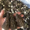 blonde morel mushrooms for sale near me , were to buy blond morel Sourced from pristine natural environments, our Grade A morels are selected for their size