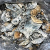 brown beech mushroom raw​ for sale near me were to buy raw mushroom gummies ​Renowned for its balanced and introspective experience, the Bull Run strain