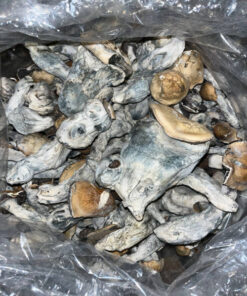 brown beech mushroom raw​ for sale near me were to buy raw mushroom gummies ​Renowned for its balanced and introspective experience, the Bull Run strain