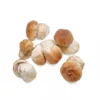 frozen porcini mushrooms for sale near me Our frozen porcini mushrooms are hand-foraged at peak ripeness, cleaned, and flash-frozen to lock