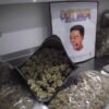 thca flower lbs for sale near me ,were can i buy flight pack weed Infused with myrcene, this terpene-forward strain delivers calming, body-melting effects