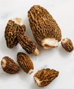 colorado morel mushrooms From versatile white button mushrooms to flavorful cremini, bold portobello, and seasonal wild varieties, fresh mushrooms