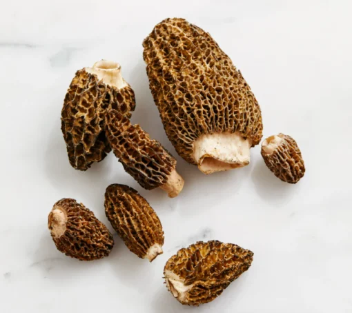 colorado morel mushrooms From versatile white button mushrooms to flavorful cremini, bold portobello, and seasonal wild varieties, fresh mushrooms