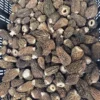best frozen mushrooms online for sale, were can i buy Wild Morel Mushrooms Morels are among the most sought-after wild mushrooms for cooking,