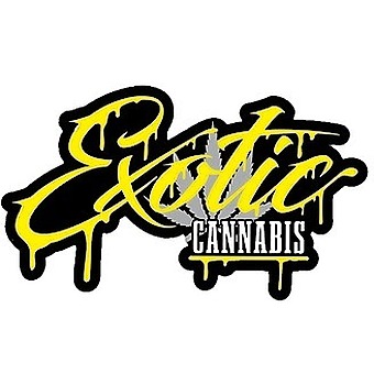 exoticdisposableshop.com